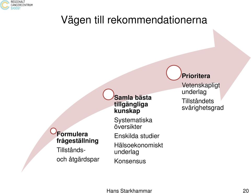 Systematiska översikter Enskilda studier Hälsoekonomiskt underlag