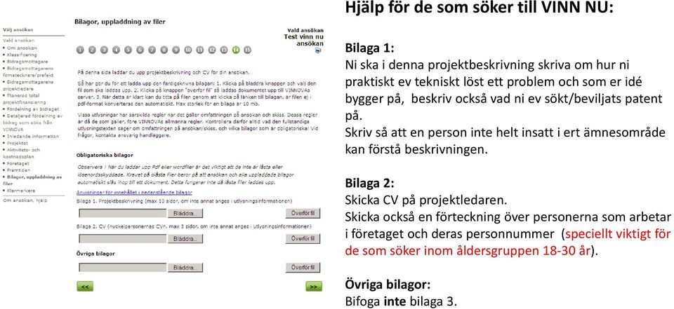 Skriv så att en person inte helt insatt i ert ämnesområde kan förstå beskrivningen. Bilaga 2: Skicka CV på projektledaren.