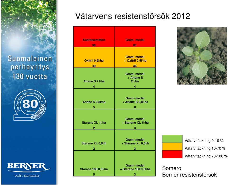 5 6 Starane XL 1l/ha Gram- medel + Starane XL 1l/ha 2 3 Starane XL 0,6l/h Gram- medel + Starane XL 0,6l/h 2 3 Våtarv täckning 0-10 %