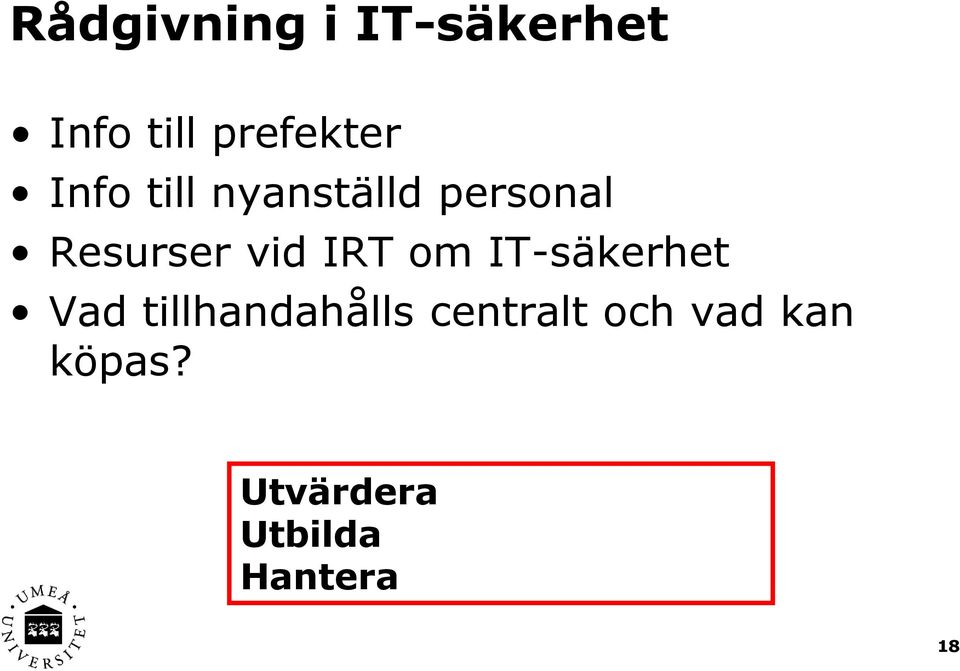 IRT om IT-säkerhet Vad tillhandahålls