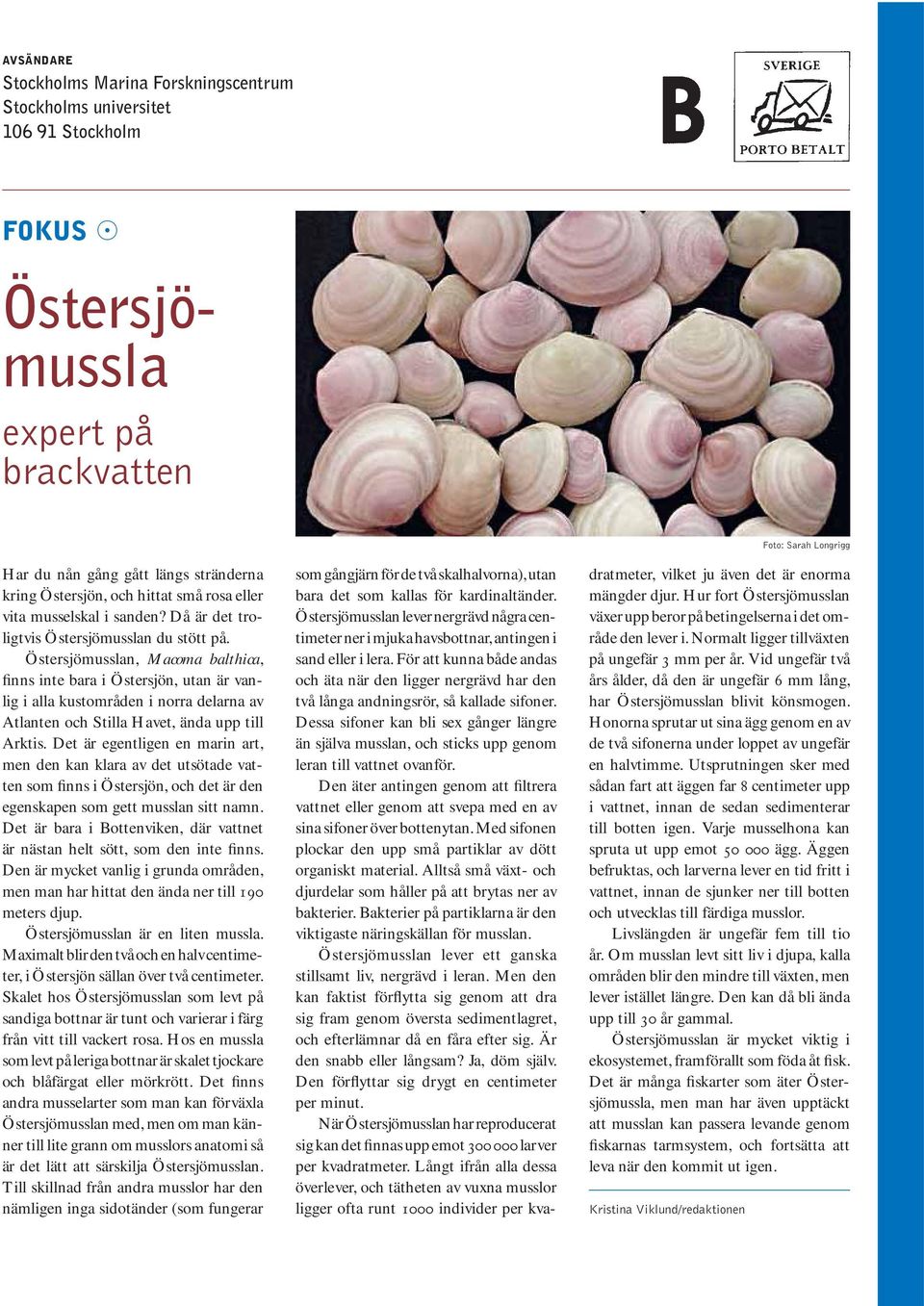 Östersjömusslan, Macoma balthica, finns inte bara i Östersjön, utan är vanlig i alla kustområden i norra delarna av Atlanten och Stilla Havet, ända upp till Arktis.