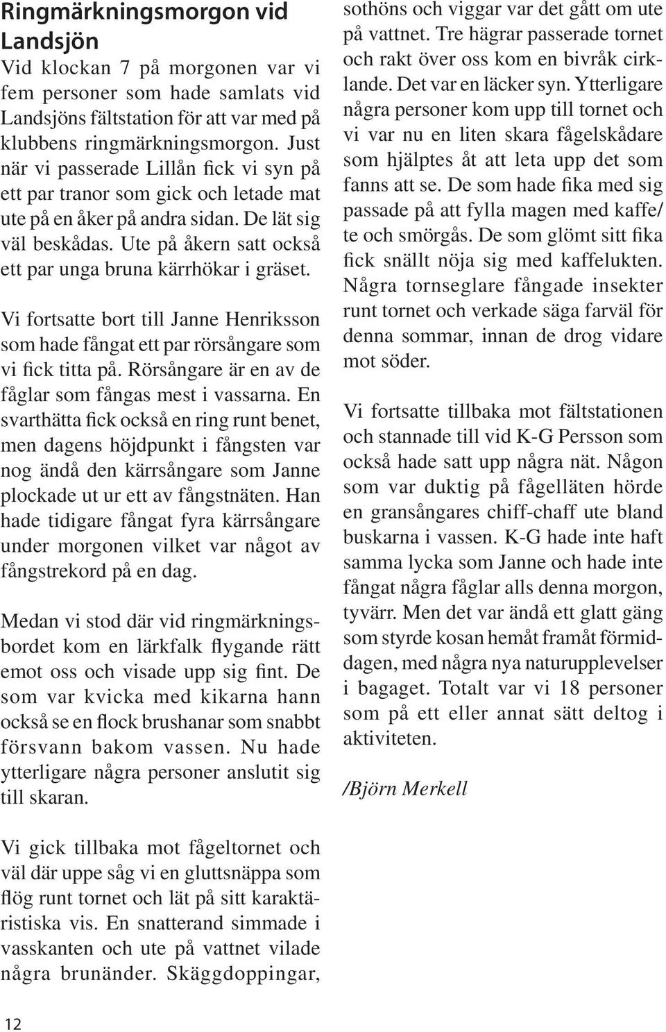 Ute på åkern satt också ett par unga bruna kärrhökar i gräset. Vi fortsatte bort till Janne Henriksson som hade fångat ett par rörsångare som vi fick titta på.