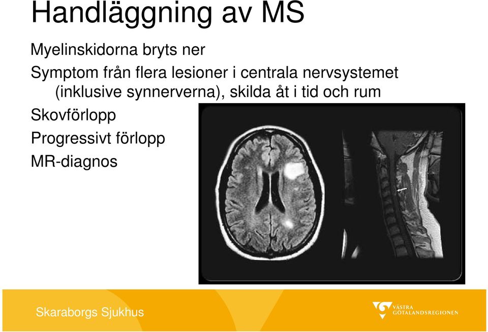 nervsystemet (inklusive synnerverna), skilda