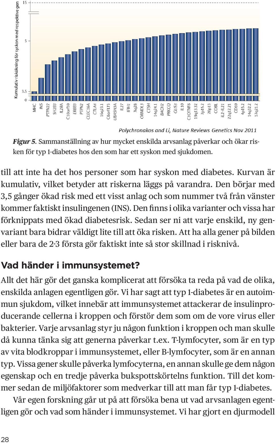 Den börjar med 3,5 gånger ökad risk med ett visst anlag och som nummer två från vänster kommer faktiskt insulingenen (INS). Den finns i olika varianter och vissa har förknippats med ökad diabetesrisk.