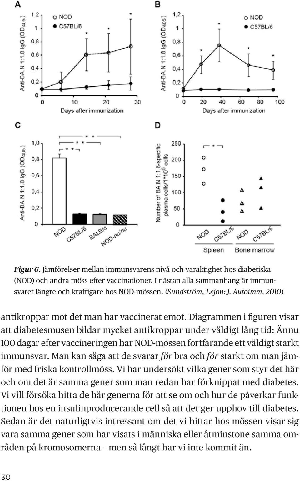 Diagrammen i figuren visar att diabetesmusen bildar mycket antikroppar under väldigt lång tid: Ännu 100 dagar efter vaccineringen har NOD-mössen fortfarande ett väldigt starkt immunsvar.