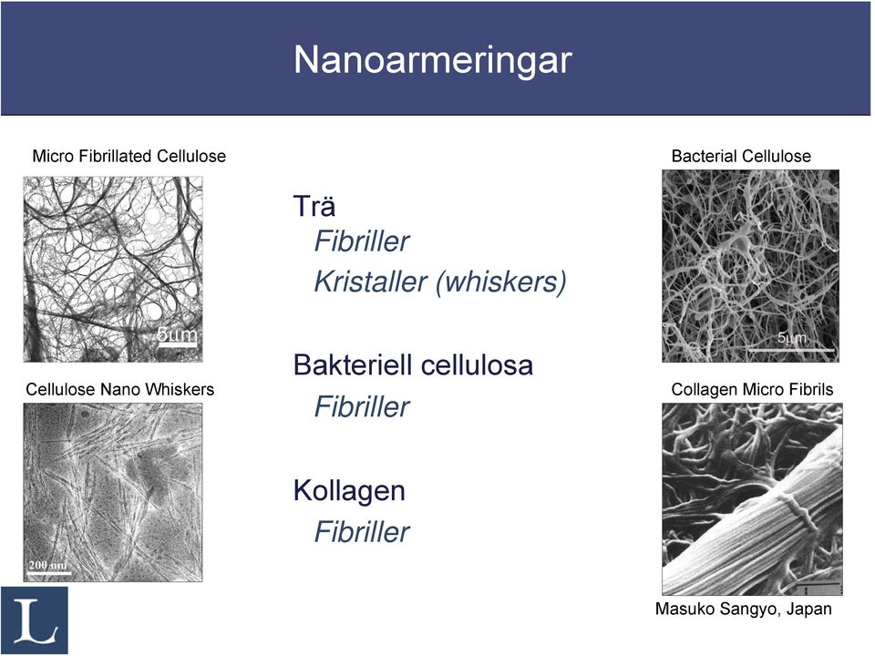 Cellulose Nano Whiskers Bakteriell cellulosa