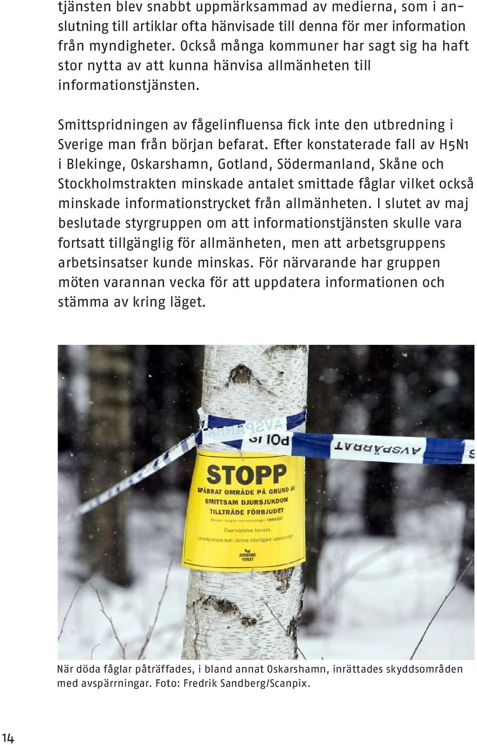 Smittspridningen av fågelinfluensa fick inte den utbredning i Sverige man från början befarat.