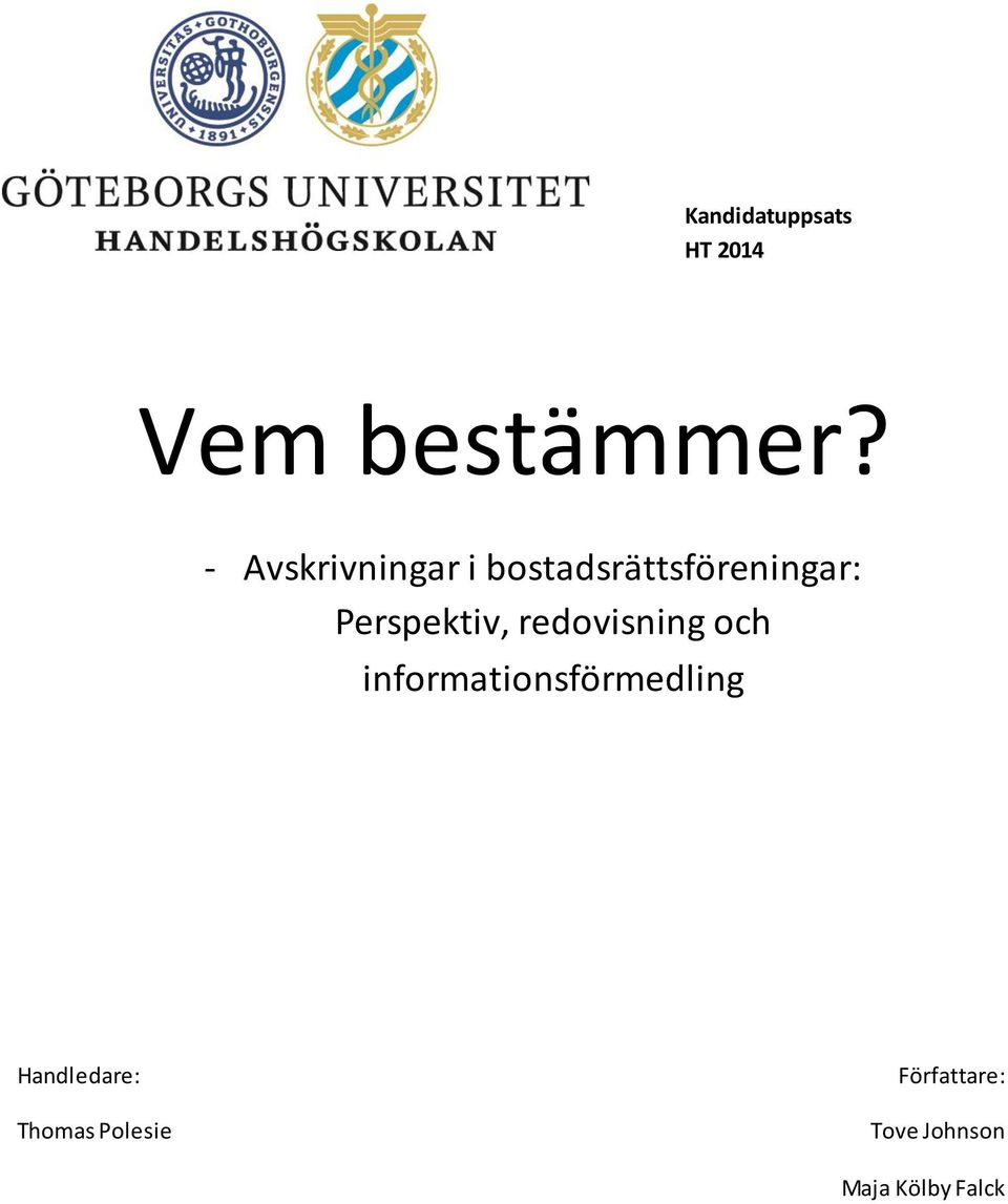 Perspektiv, redovisning och