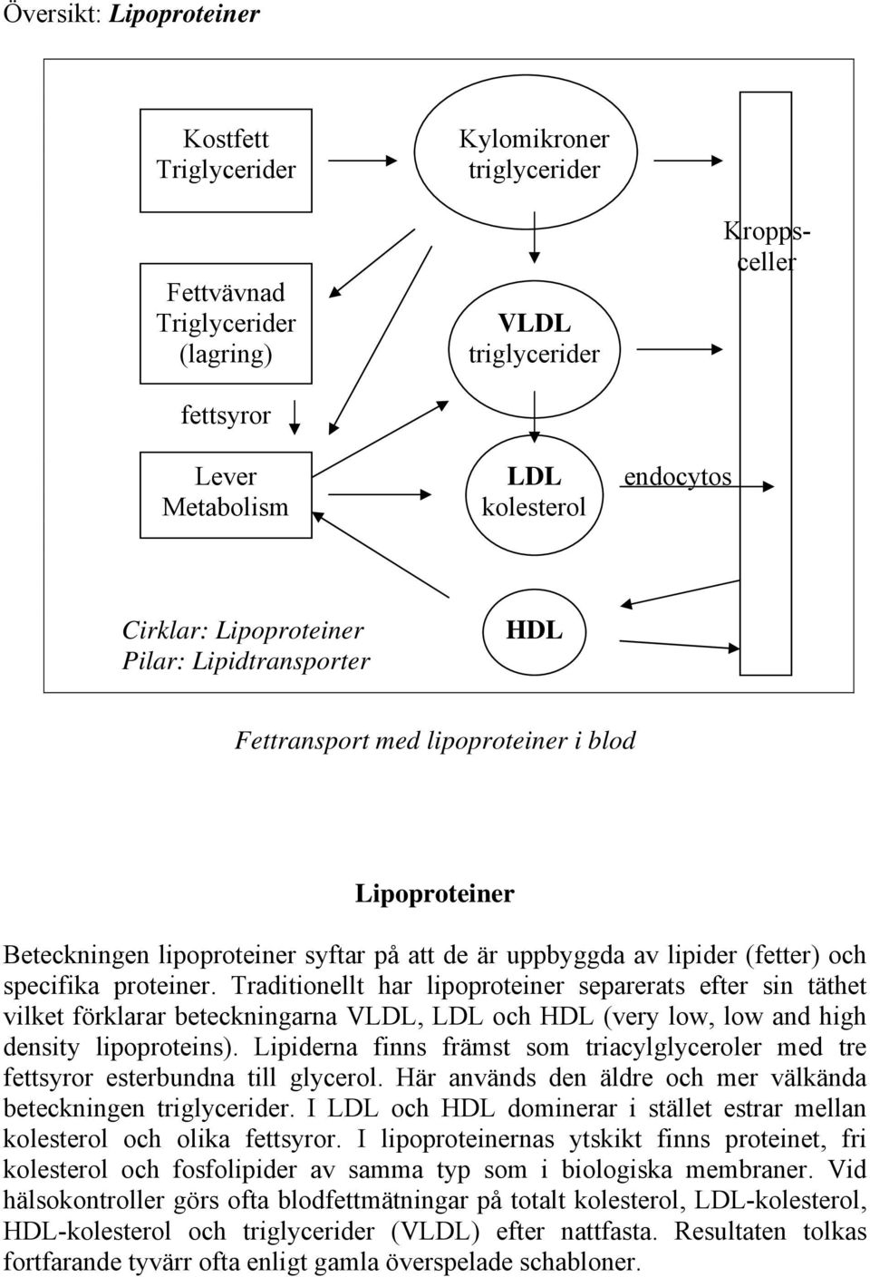 Traditionellt har lipoproteiner separerats efter sin täthet vilket förklarar beteckningarna VLDL, LDL och HDL (very low, low and high density lipoproteins).