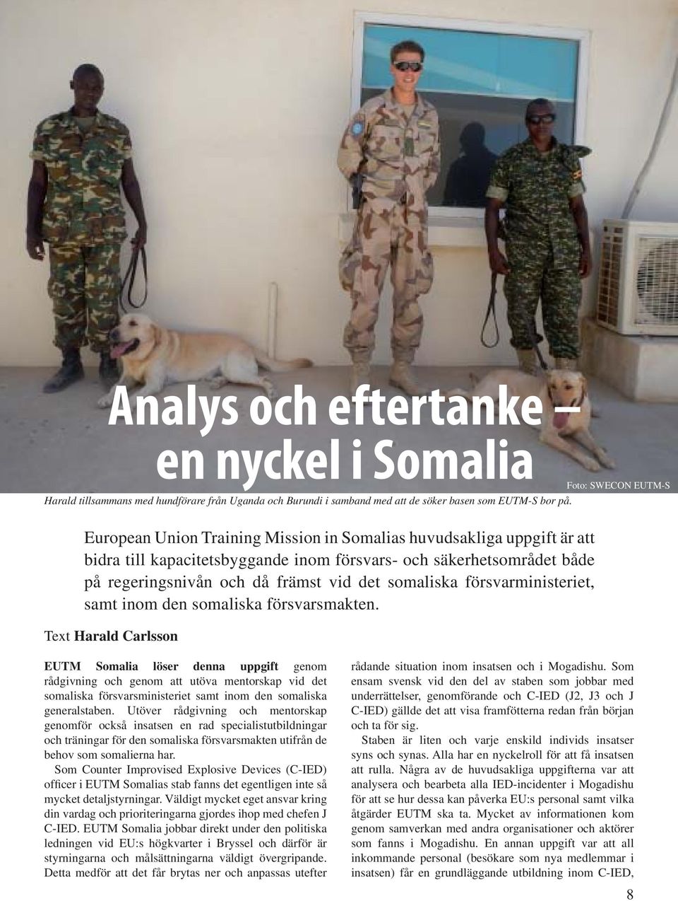 försvarministeriet, samt inom den somaliska försvarsmakten.