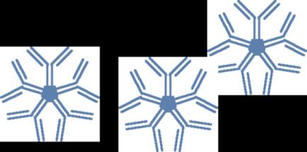 (GT) Enzymnivå Kolhydratantigen