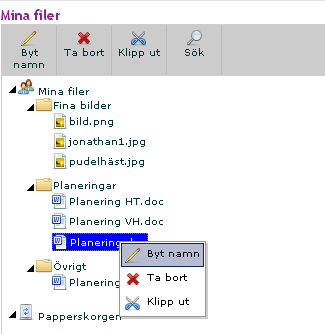 Om man klickar på en fil i filbiblioteket finns en detaljruta där information om filer och mappar visas.