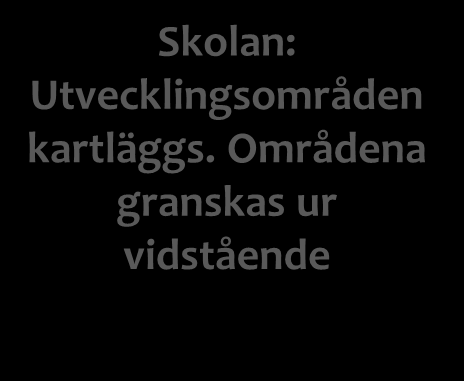 LÄRANDE Inlärningsresultat LP mål och innehåll Undervisning och pedagogik Lärmiljöer Handledning o stöd Utvecklingsområden angiva av UBS Skolan: Utvecklingsområden kartläggs.