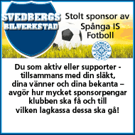 Vad hände i