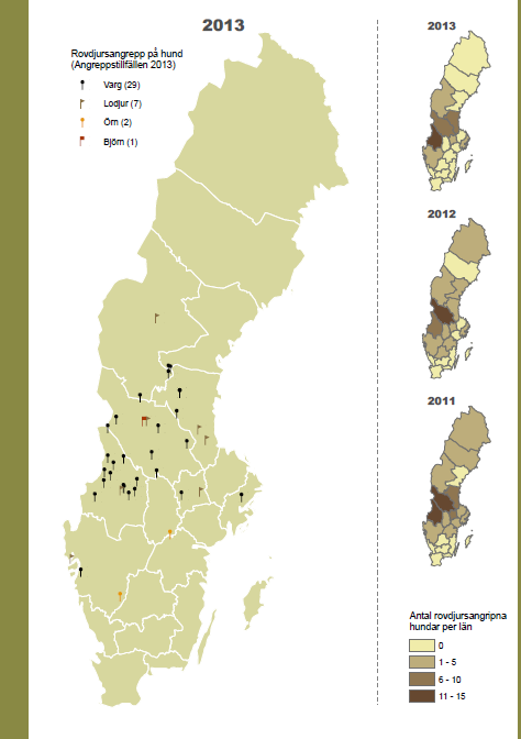 Figur 8. Angreppstillfällen på hundar under 2013, samt 2012 och 2011.