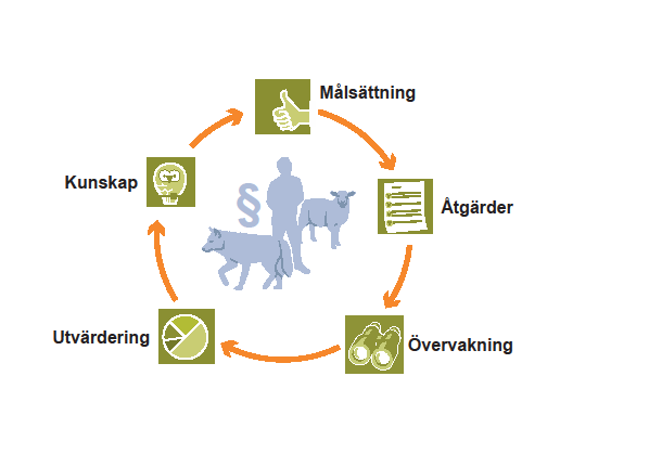 Figur 9. Schematisk bild över den adaptiva förvaltningen 4.5.2.