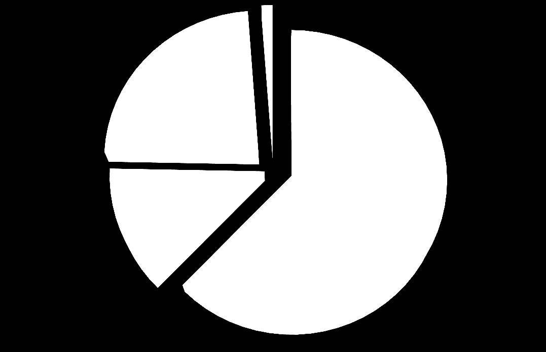 Undersökning 1% Typ av anställning 24% 13% 63%