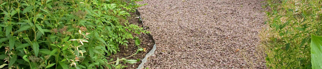 Lunden Den här delen av trädgården kallar vi lunden. Ett par grusade gångar som slingrar sig mellan ett två fruktträd, katsura, magnolia och ett silverpäron. Marken täkt av perenner.