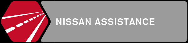 TJÄNSTER Serviceavtalet följer Nissans officiella serviceschema och avtalet ska tecknas innan första service (senast 12 månader efter registrering).