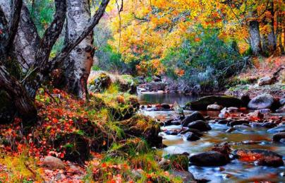 Ambroz Valley Hundra år gammalt träd. Vad mer, i denna del av Extremadura du kan också promenera runt på gatorna i de judiska kvarteren i Hervás eller följa den romerska vägen kallas Silver rutt.