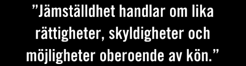 1 Winnet Skåne och regional utveckling Winnet Skåne är en ideell förening, som fungerar som Regionalt ResursCentrum för kvinnor i Skåne.