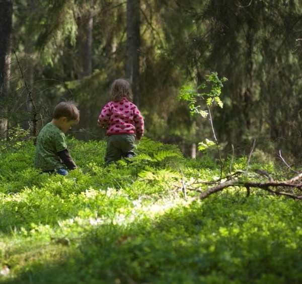 Grönytors påverkan på hälsan BMI minskar (Björk mfl 2008) Hjärt - och kärlsjukdomar minskar (Mitchell & Popham 2008) Stressnivån minskar (Grahn & Stigsdotter 2003) Äldre återhämtar