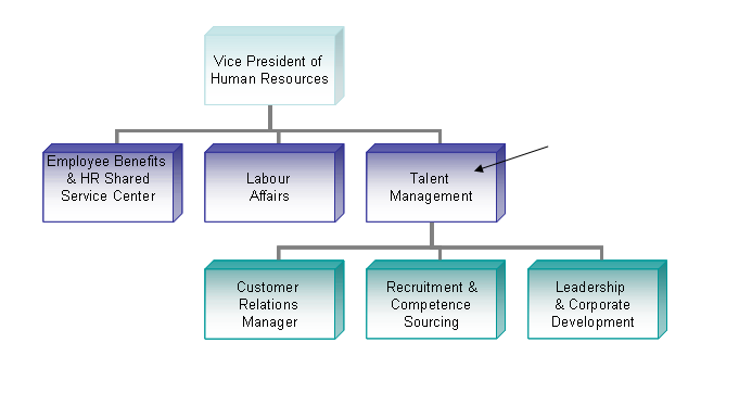 Den funktion som jag har praktiserat på är HR (Human Resources) vilken arbetar med att attrahera, rekrytera, utveckla och behålla företagets humankapital.