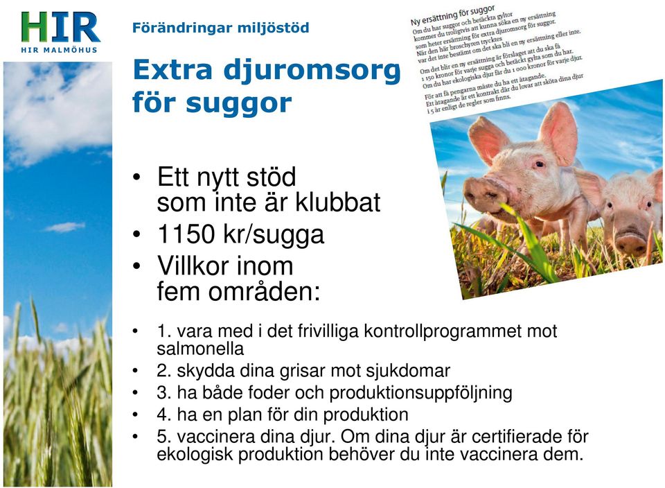 skydda dina grisar mot sjukdomar 3. ha både foder och produktionsuppföljning 4.