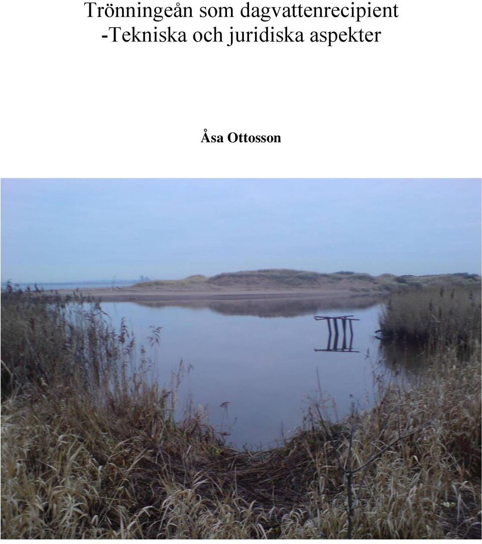 juridiska