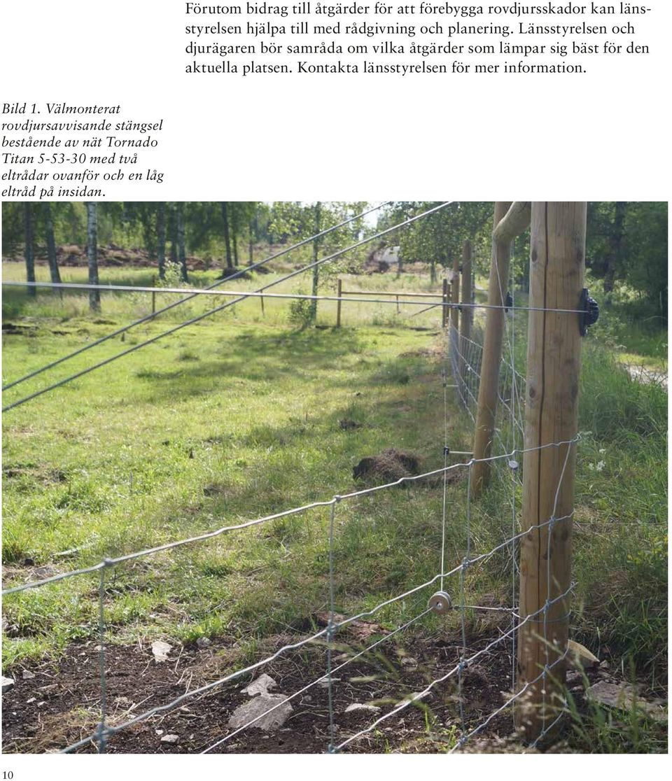 Länsstyrelsen och djurägaren bör samråda om vilka åtgärder som lämpar sig bäst för den aktuella platsen.