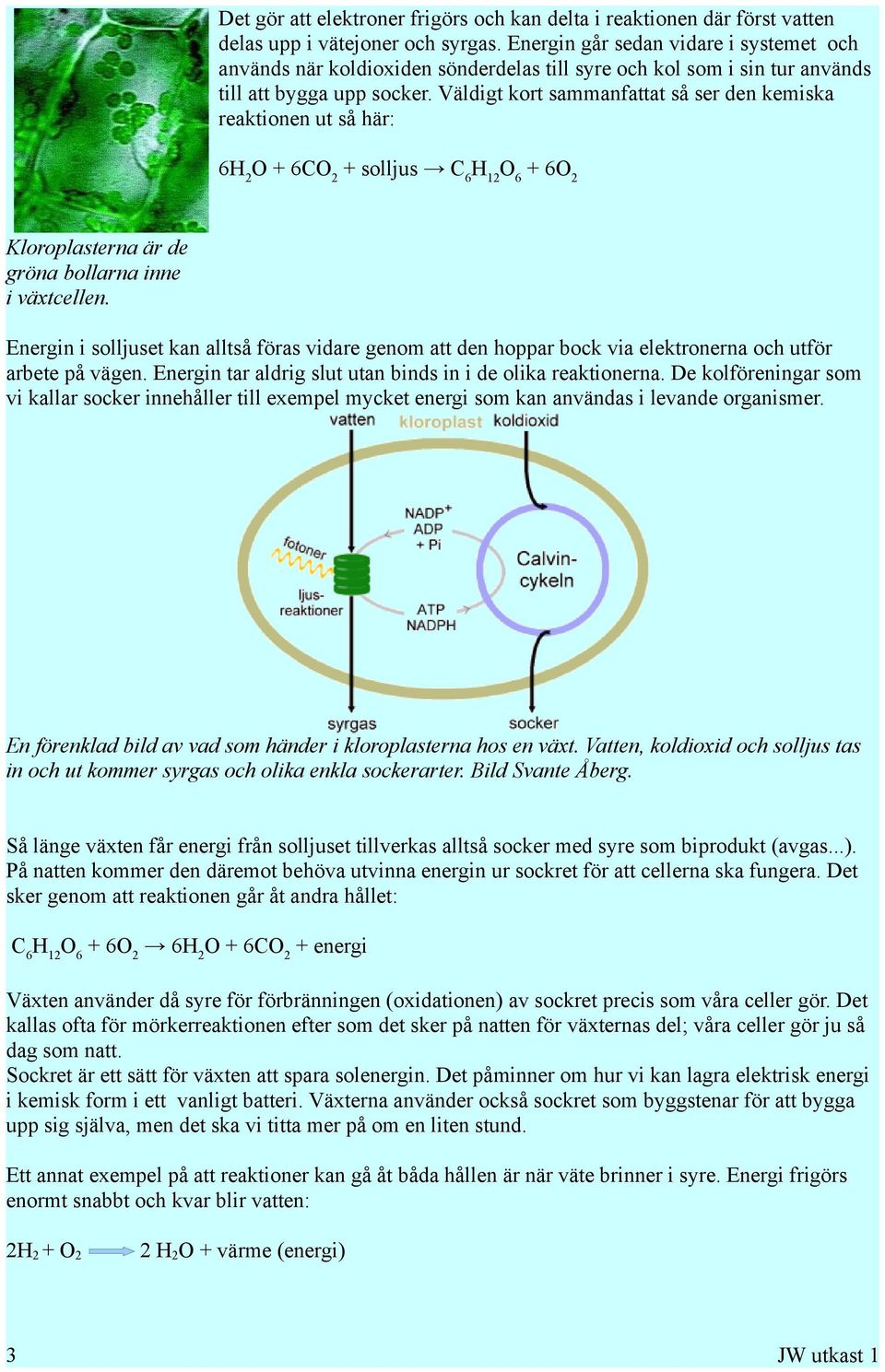 Väldigt kort sammanfattat så ser den kemiska reaktionen ut så här: 6H 2 O + 6CO 2 + solljus C 6 H 12 O 6 + 6O 2 Kloroplasterna är de gröna bollarna inne i växtcellen.