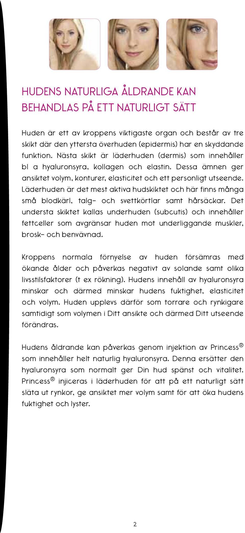 Läderhuden är det mest aktiva hudskiktet och här finns många små blodkärl, talg- och svettkörtlar samt hårsäckar.