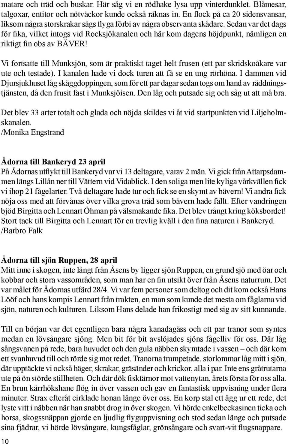 Sedan var det dags för fika, vilket intogs vid Rocksjökanalen och här kom dagens höjdpunkt, nämligen en riktigt fin obs av BÄVER!