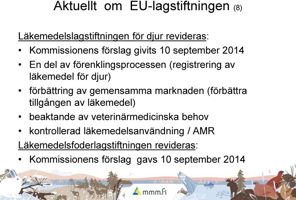 gemensamma marknaden (förbättra tillgången av läkemedel) beaktande av veterinärmedicinska behov