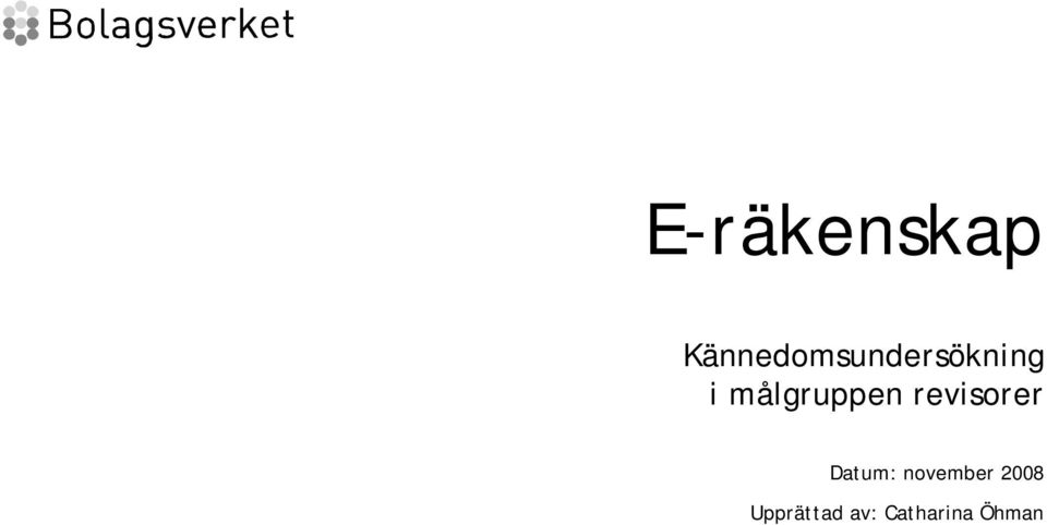 målgruppen revisorer