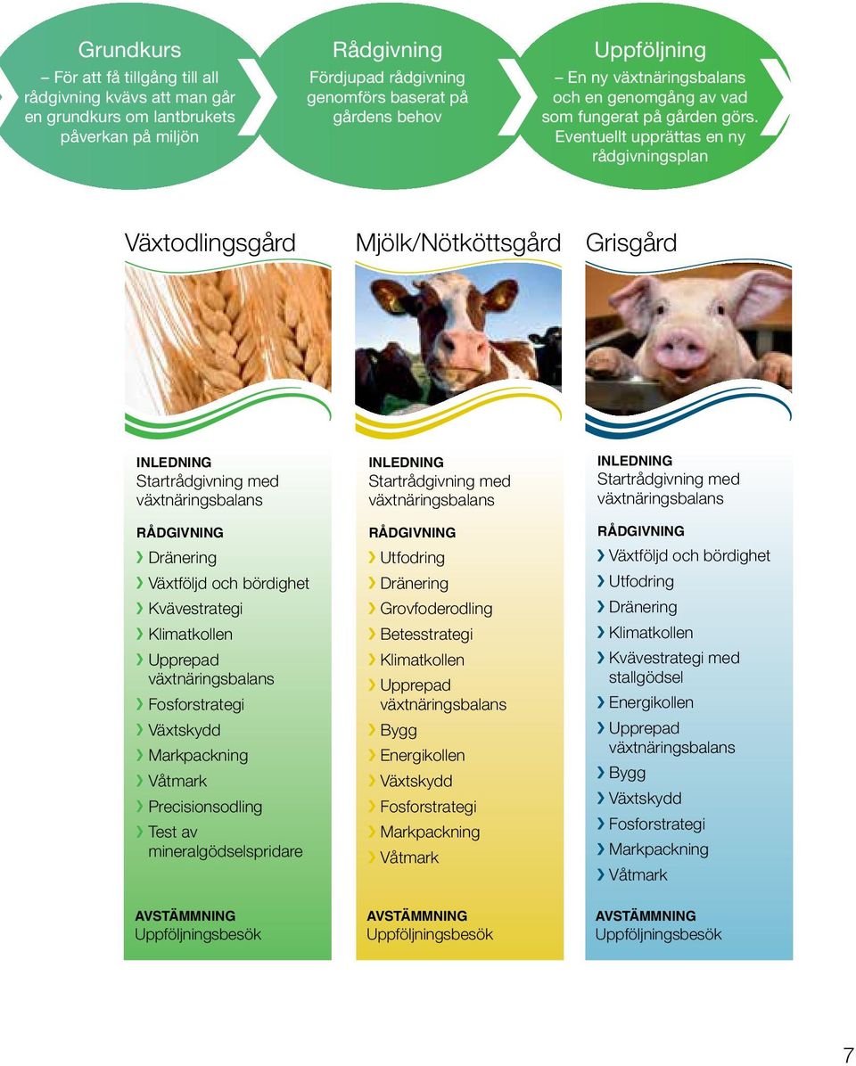 Eventuellt upprättas en ny rådgivningsplan Växtodlingsgård Mjölk/Nötköttsgård Grisgård Inledning Startrådgivning med växtnäringsbalans Rådgivning Dränering Växtföljd och bördighet Kvävestrategi