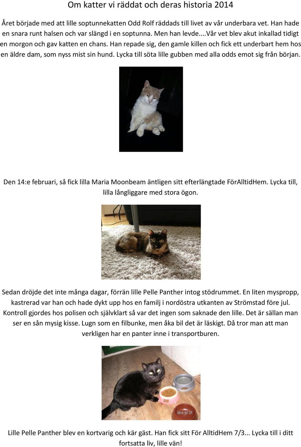 Lycka till söta lille gubben med alla odds emot sig från början. Den 14:e februari, så fick lilla Maria Moonbeam äntligen sitt efterlängtade FörAlltidHem. Lycka till, lilla långliggare med stora ögon.
