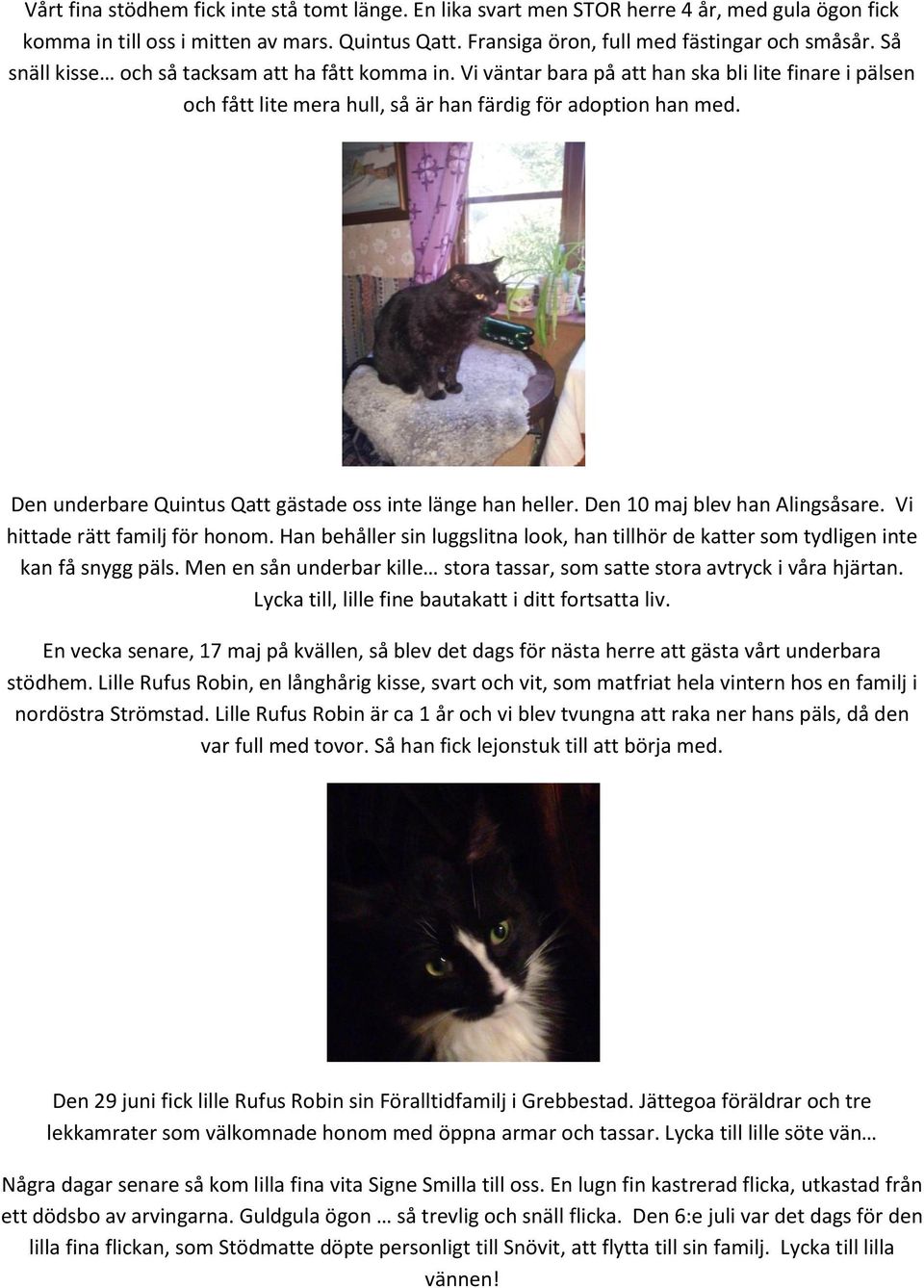 Den underbare Quintus Qatt gästade oss inte länge han heller. Den 10 maj blev han Alingsåsare. Vi hittade rätt familj för honom.