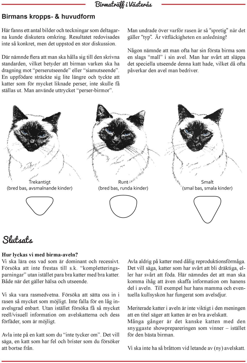En uppfödare sträckte sig lite längre och tyckte att katter som för mycket liknade perser, inte skulle få ställas ut. Man använde uttrycket perser-birmor.