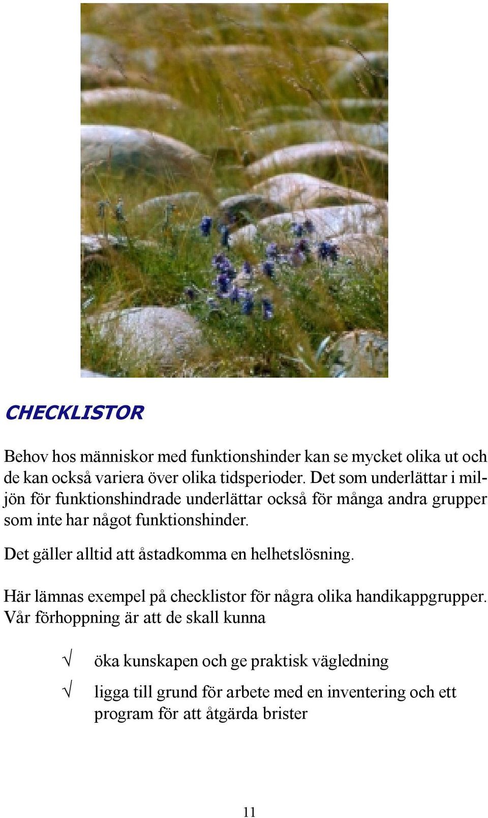 Det gäller alltid att åstadkomma en helhetslösning. Här lämnas exempel på checklistor för några olika handikappgrupper.