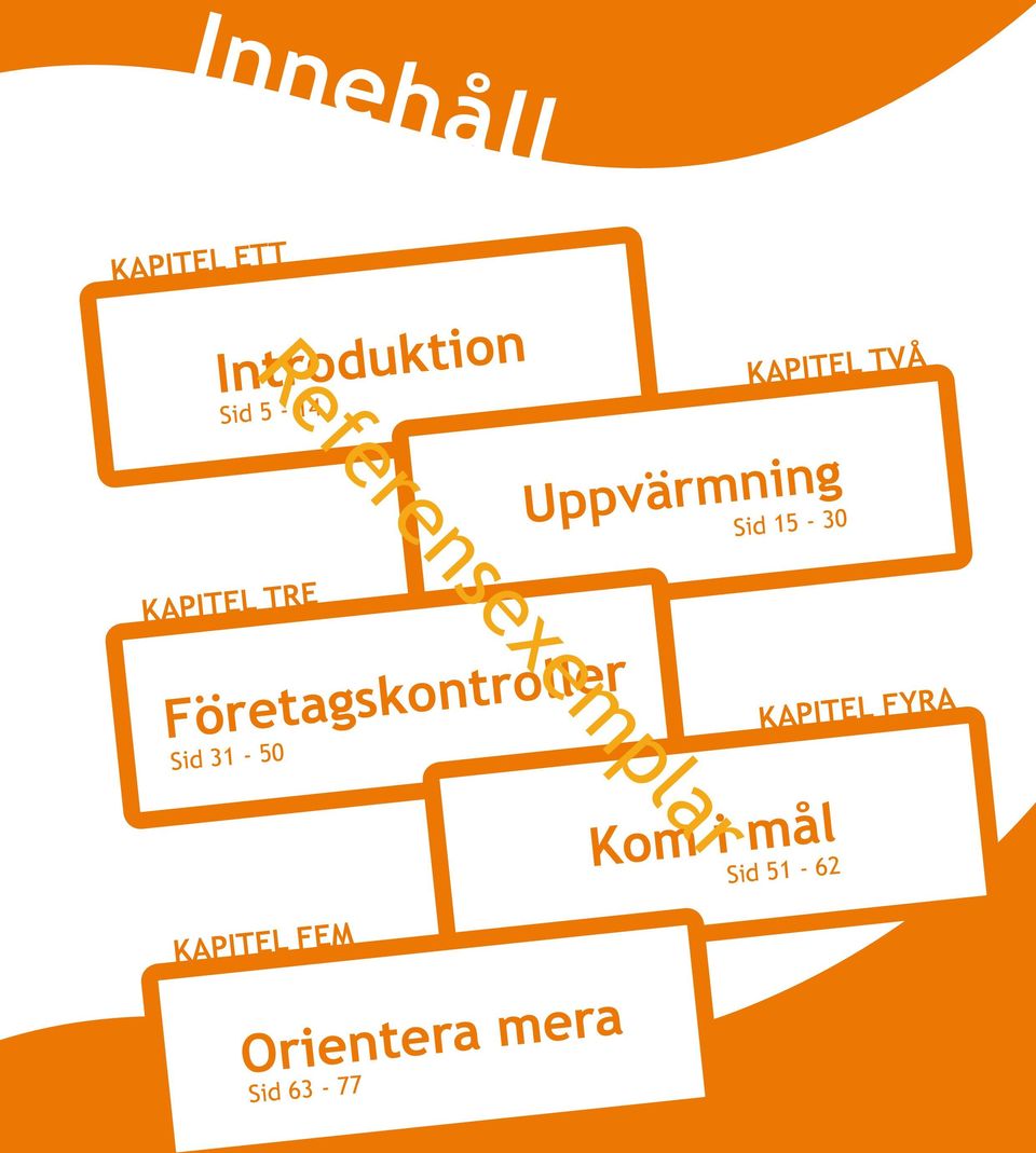 Företagskontroller Sid 31-50 KAPITEL FEM