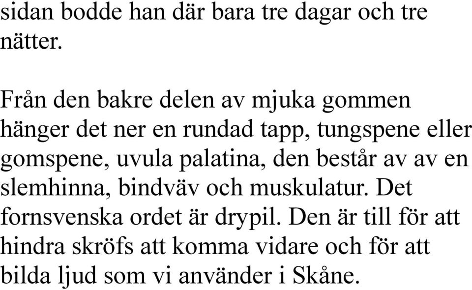 gomspene, uvula palatina, den består av av en slemhinna, bindväv och muskulatur.