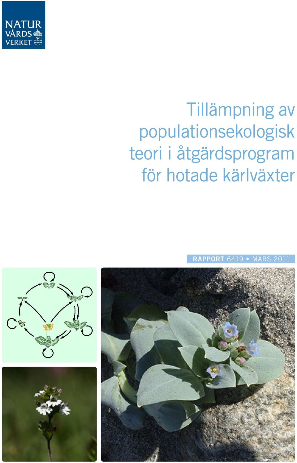 teori i åtgärdsprogram