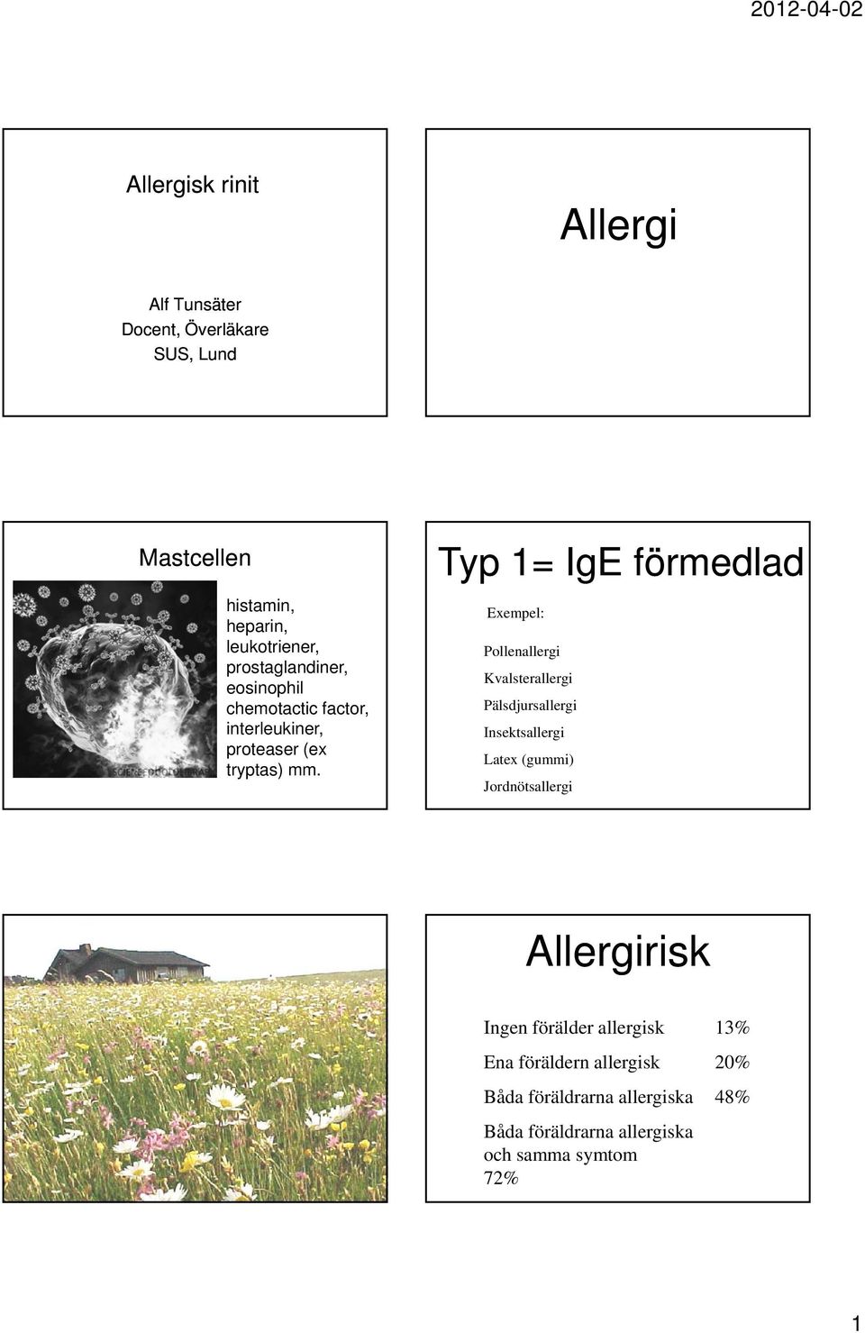 Typ 1= IgE förmedlad Exempel: Pollenallergi Kvalsterallergi Pälsdjursallergi Insektsallergi Latex (gummi)