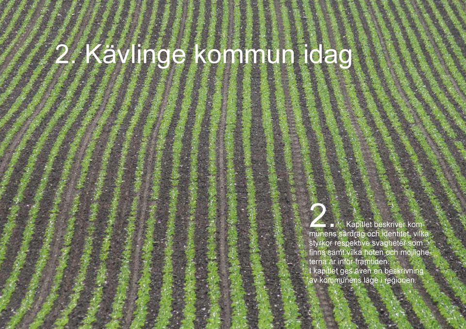 styrkor respektive svagheter som finns samt vilka hoten och