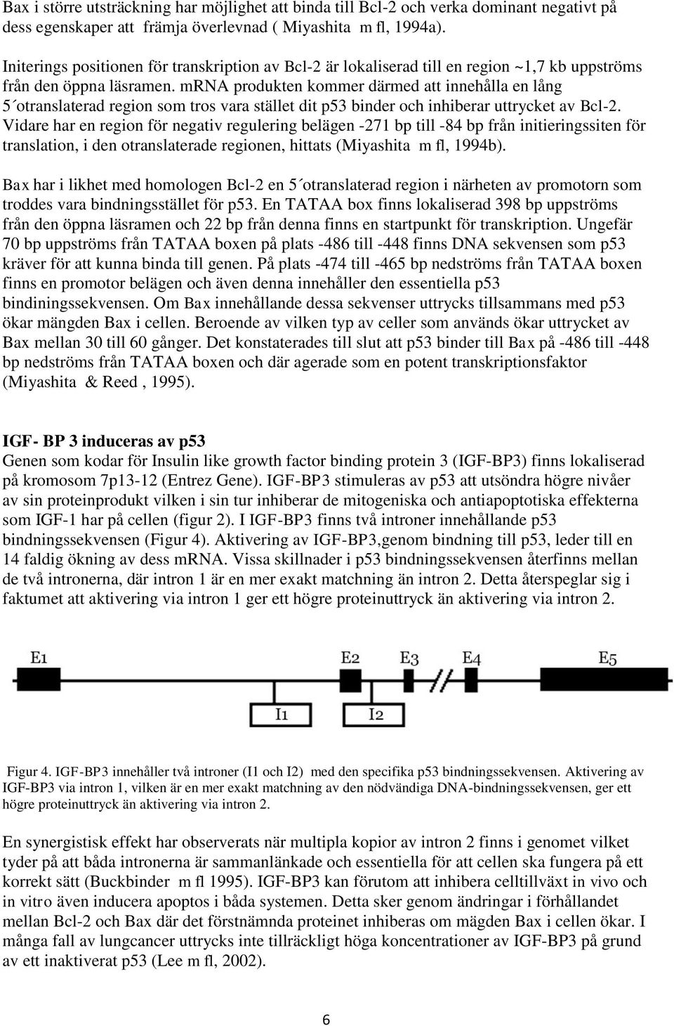mrna produkten kommer därmed att innehålla en lång 5 otranslaterad region som tros vara stället dit p53 binder och inhiberar uttrycket av Bcl-2.