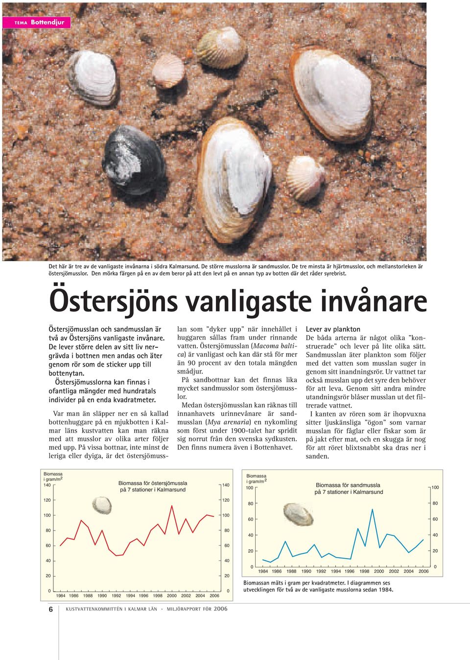 Östersjöns vanligaste invånare Östersjömusslan och sandmusslan är två av Östersjöns vanligaste invånare.