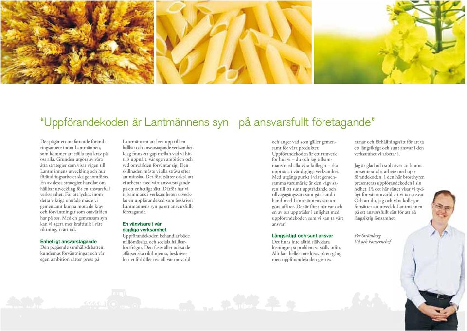 En av dessa strategier handlar om hållbar utveckling för en ansvarsfull verksamhet.