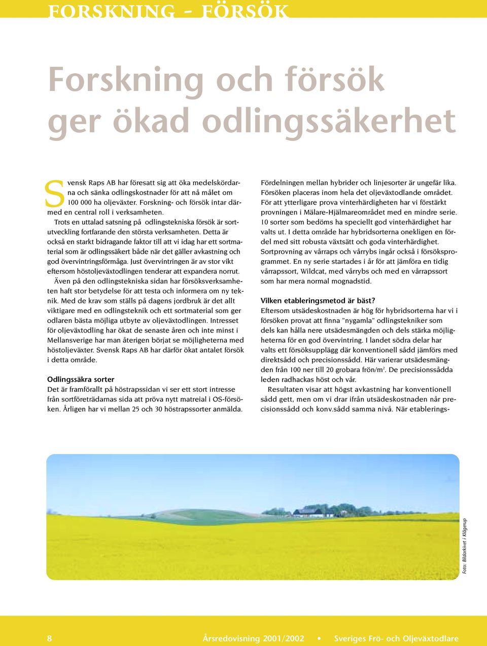 övervintring. I landet södra delar har valts ett försöksupplägg där konventionell sådd jämförs med direktsådd och precisionssådd. Här varierar utsädesmängden från 100 ner till 20 grobara frön/m 2.