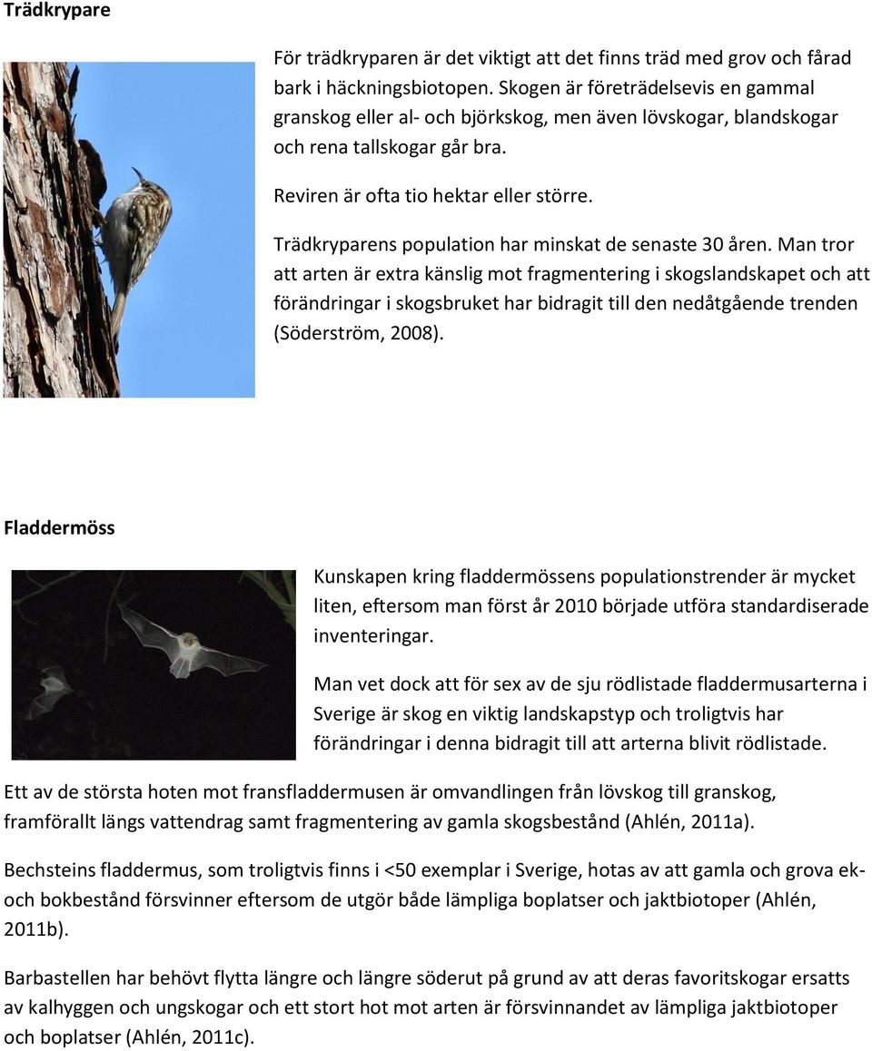 Trädkryparens population har minskat de senaste 30 åren.